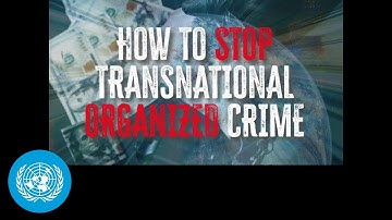 United Nations Takes On Organized Crime | United Nations