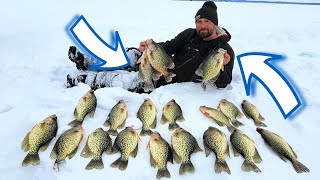 This Crappie Bite was CRAZY!! (LOADED)