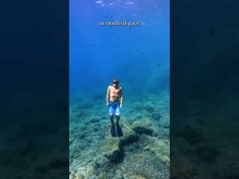 Video: Cosa respiri durante le immersioni subacquee