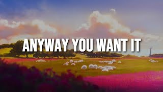 Cabuizee & Britt Lari - Any Way You Want It (Lyrics/Lyric Video)