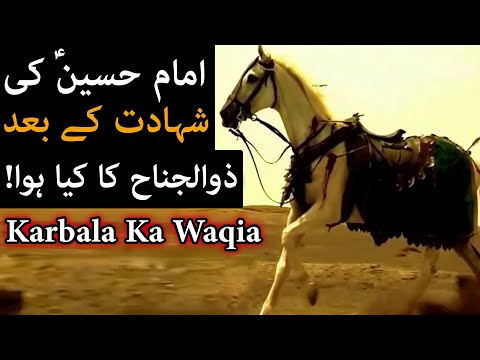         ذوالجناح امام حسین علیہ السلام       