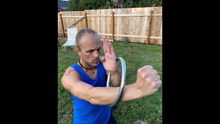 THE WING CHUN RING 2- STEEL, TORQUE, AND CORE