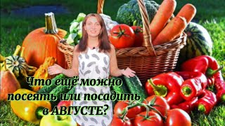 ПЛАН РАБОТ в огороде на Август. ЛУННЫЙ КАЛЕНДАРЬ. Что ещё можно посадить или посеять в Августе?