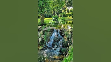 #القرآن#القرآن_الكريم#تلاوات#تلاوة_خاشعة#تلاوة_هادئة#سورۃ#البقرة#قاری#عبدالباسط_عبدالصمد#fyp#viral