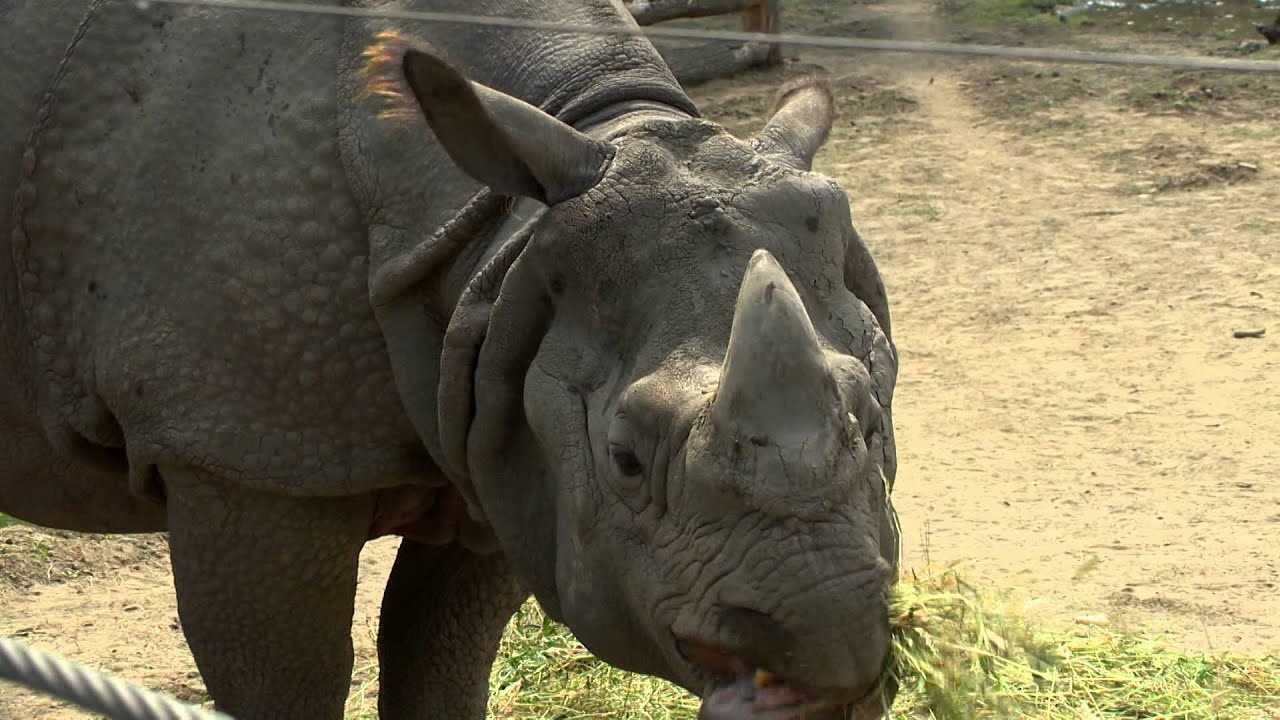 milyen a kettős látás látási orvosi igazolás kiállításának megtagadása