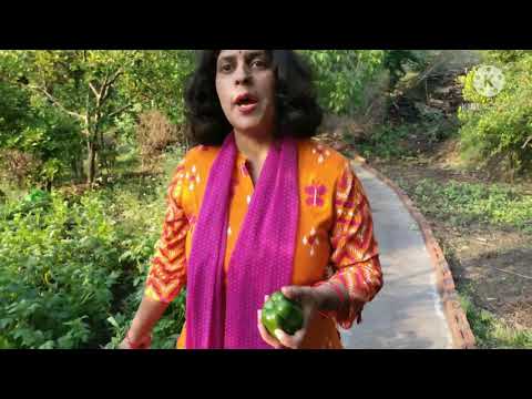 वीडियो: संतरे की चटनी और गर्म सब्जियों के साथ मशरूम से भरी पोर्क लोई