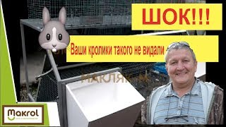 Обзор клетки для кроликов МАКЛЯК-М.(, 2013-10-07T08:47:34.000Z)
