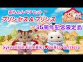 【開封】unboxing 35th  Princess & Prince【35周年記念 プリンセス＆プリンス】シルバニアファミリー☆ CalicoCritters【SylvanianFamilies】