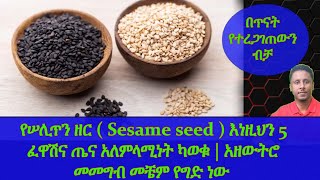Ethiopia | የሠሊጥን ዘር ( Sesame seed ) እነዚህን 5 ፈዋሽና ጤና አለምላሚነት ካወቁ | አዘውትሮ መመግብ መቼም የግድ ነው