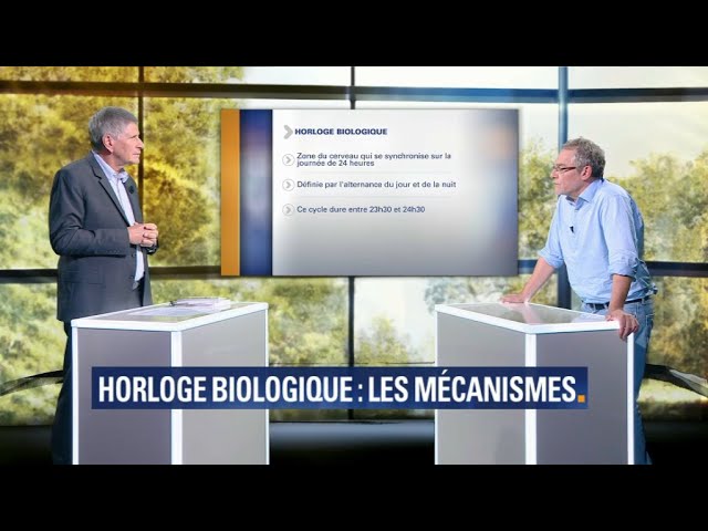 Soufrez-vous d’insomnie ?