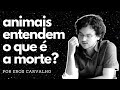 Animais entendem a morte? (por Eros Carvalho) | Filosofia da Mente