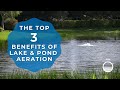 What are the benefits of lake aeration systems watch for the top 3 perks