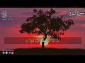 سورة البقرة كاملة القارئ محمد هشام    بدون اعلانات