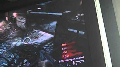 COD:WAW upgraded flamethrower and upgraded raygun