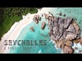 Seychelles - A Paradise Dream (Cinematic Travel Video)