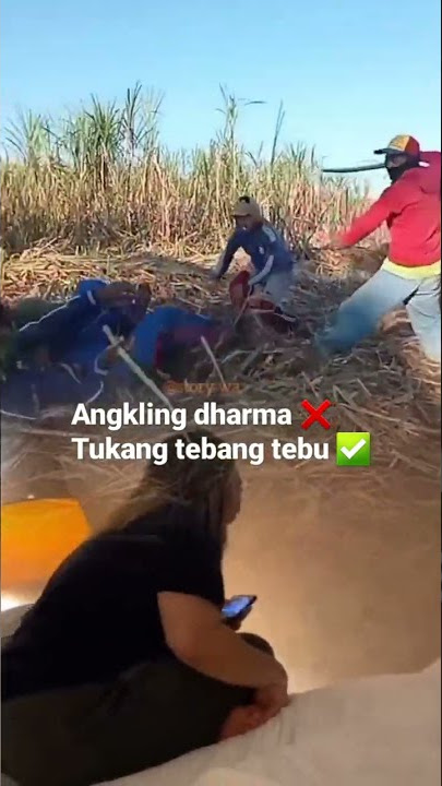 angling dharma versi lucu 🤣 #feedshorts #shorts #ngakak #anglingdharma #memelucu #storywa #story