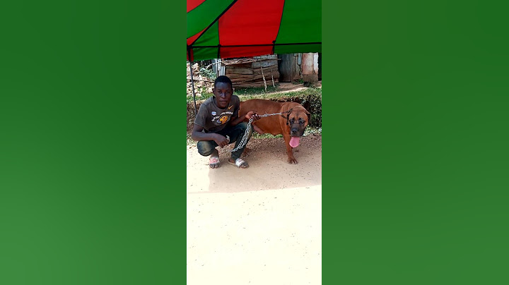 ukitaka Mbwa wa kizungu ndio iuo