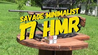 Savage Minimalist 17 HMR