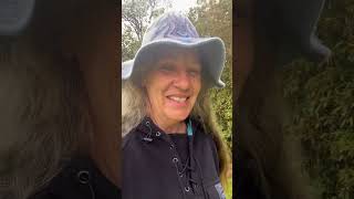 First Morning Auckland Checkin