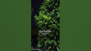 #قرآن #قران_كريم #تلاوة_خاشعة #اكسبلور #العفاسي #اذكرو_الله #duet #دويتو