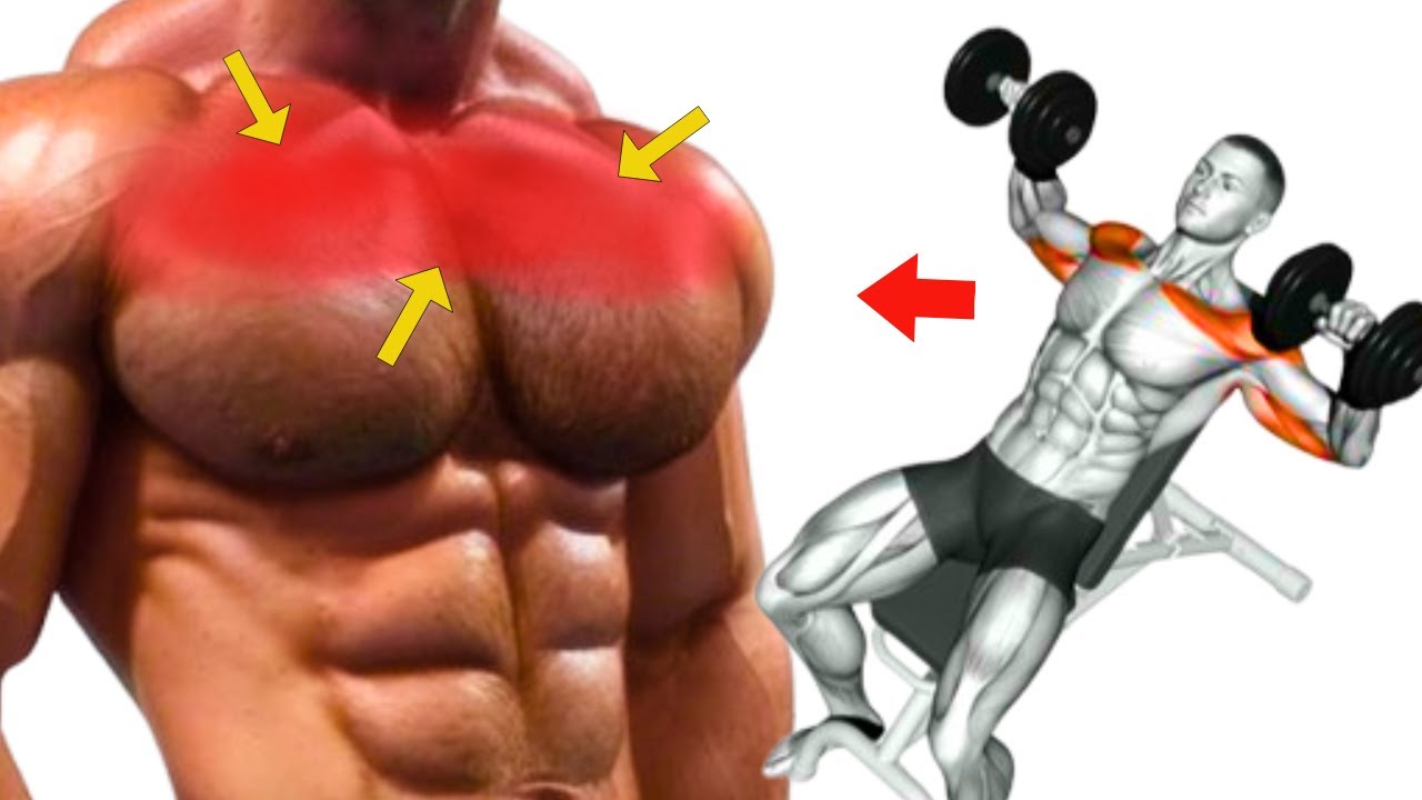 upper chest exercises - 5 best chest workout routine - YouTube