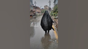 Even ghost is afraid of Corona Virus #ghost #nepal