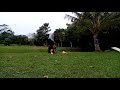 ENTRENAMIENTO CANINO OLICAN-K9