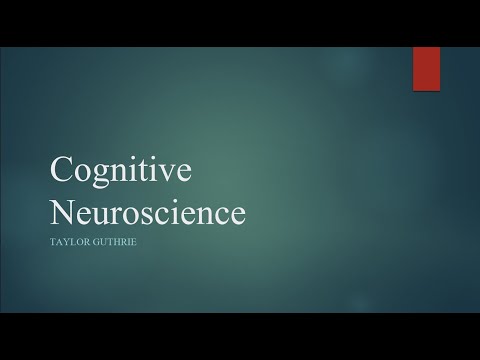 History of Cognitive Neuroscience