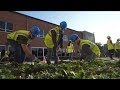 Kennedy Union Green Roof