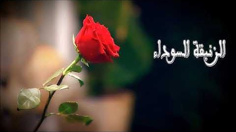 سورة الأعلى كاملة بصوت الشيخ هزاع البلوشي