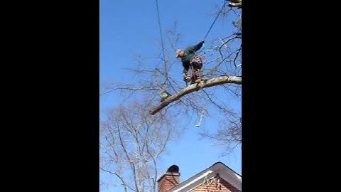 Cutting a limb safely over a house