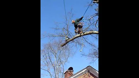 Cutting a limb safely over a house