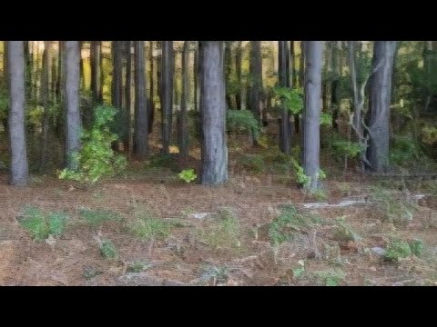 35 Simmons Dr., Camden, SC home video tour