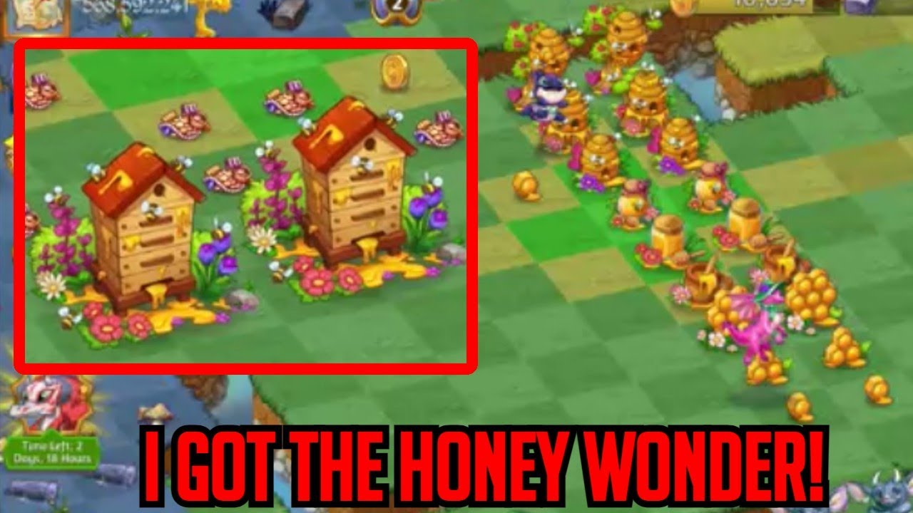 Honey Full Chain Tiny To Sanctuary Of Bees Wonder Merge