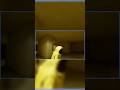 Kirill lost in the backrooms #gaming #funny #group #backrooms #youtubeshorts #clips