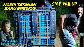 Menyala Bolo  Brewog Tatanan Baru Siap Nulup Di Karnaval Kunir Jepara