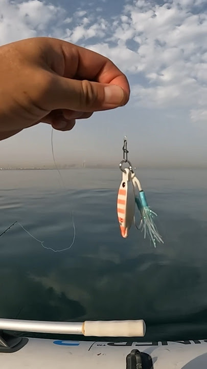 MICRO JIG 35 g Tungsten #fishing #pescaria #pescanomar #dubai #jigging #casting #solofishing