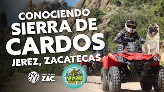 Conociendo Sierra de Cardos en Jerez, Zacatecas