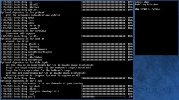 Arch Linux installation recording to kernel 5.0.1-arch1-1-ARCH (error)