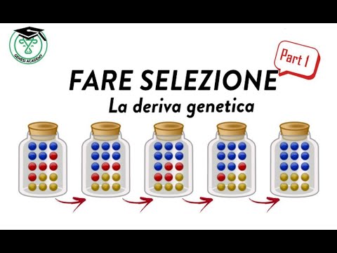 Video: La selezione naturale causa la deriva genetica?