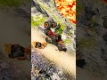 Car Falls Into Lava! 🔥😱