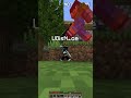 Minecraft Mini Hide & Seek🤔 #minecraft #funny #memes