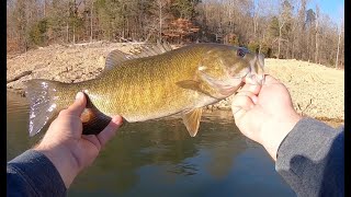 Norris Lake TN Point and Ledge Fishing