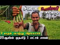 சரலி மண்ணில் வளரும் சின்ன உள்ளி💜|small onion cultivation|AtoZ|Xploring💫