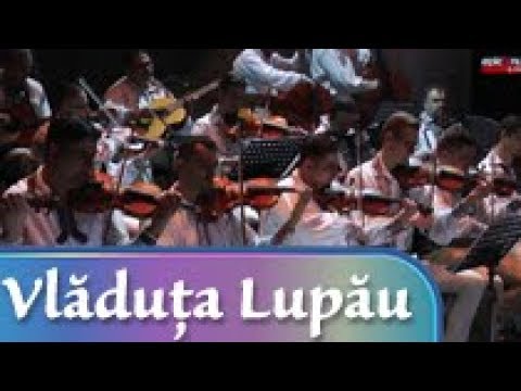 Doua viori - spectacol