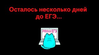 Как готовиться в последние дни перед ЕГЭ по информатике?