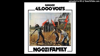 Ngozi Family - Everything Is Over