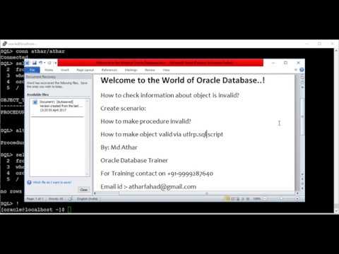 Invalid Objects in Oracle 11g