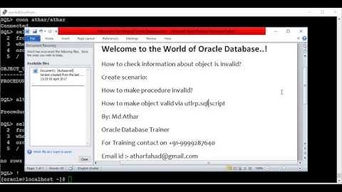 Invalid Objects in Oracle 11g