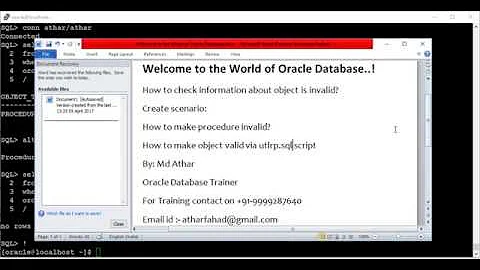 Invalid Objects in Oracle 11g